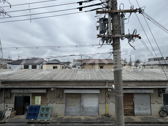 DEAR KINDAIの展望