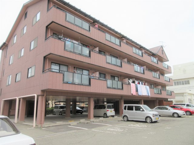 サンフラワー貴崎