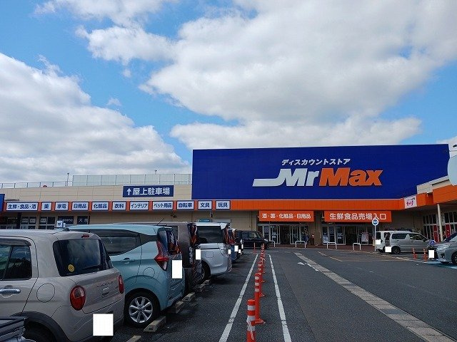 レークサイドＡの周辺|ミスターマックス柳井店まで1300m
