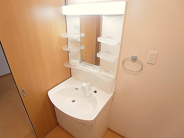 タウンコート大同の洗面所|シャワー付きの洗面台