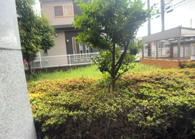 【中庭】 | ボヌールガーデン南林間 | 中庭（パティオ）とは、一つの建築物の内部に設けられた、壁などで囲われている庭のことを指します。コの字型、ロの字型が主流ですが、L字型の中庭もあります。最近では、インテリア性の高さからも人気があります。