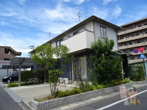 グリーンセトル万倍
