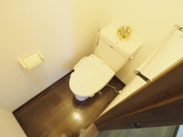 天畠貸家のトイレ