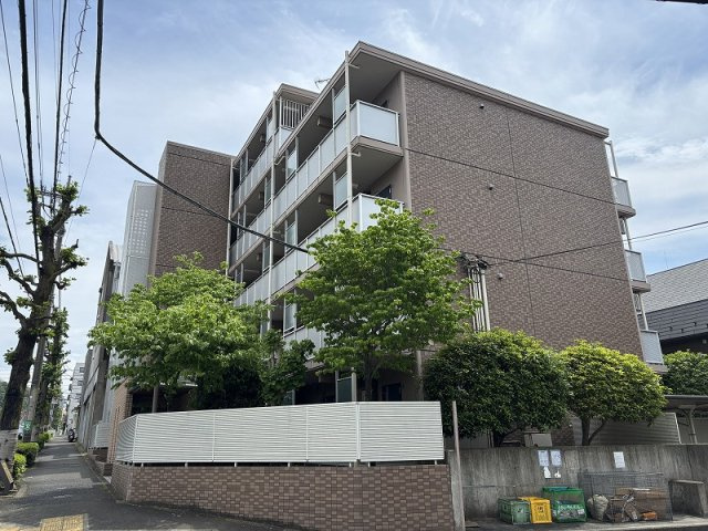 スペランザの画像