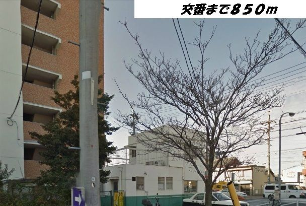 カーサ・エスペランサのその他