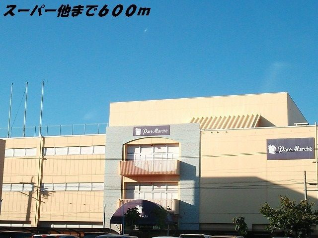 サニー和泉のその他