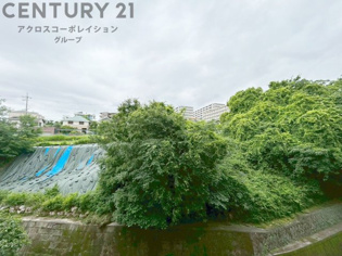 物件からの展望