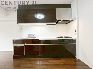 壁付けシステムキッチンはスペースの最大限の有効活用が可能で、動線がスムーズになり調理や準備が快適で効率的に行えます。収納スペースや吊り戸棚が設けられ、調理器具や食器類をスマートに収納できます。