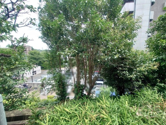 ブランシェの展望|お部屋からの景色です☆