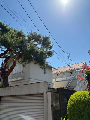 【展望】 | メゾンドブローニュ