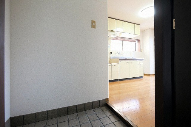 大阪市東成区中本２丁目の賃貸マンションの玄関