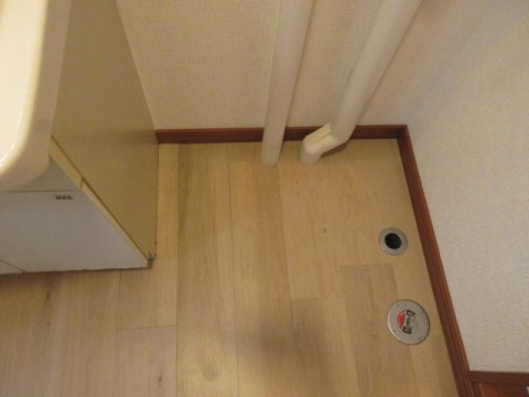 ウェザーコックのその他