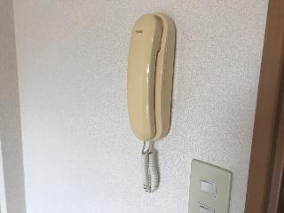 ロイヤルパインズＡ棟の内装|インターホン（イメージ）