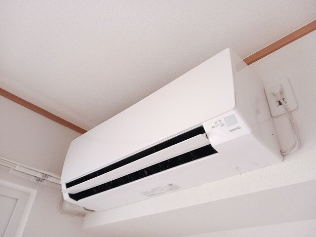 ラフレシール　Ａのその他