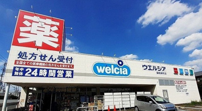 【周辺】 | スパークジョイ | ウエルシア薬局飯能柳町店まで650m