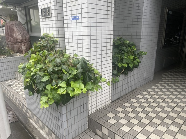 荒川区西尾久７丁目の賃貸マンションのその他|植栽☆彡