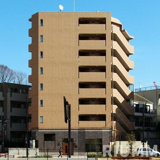メインステージ代々木公園の画像