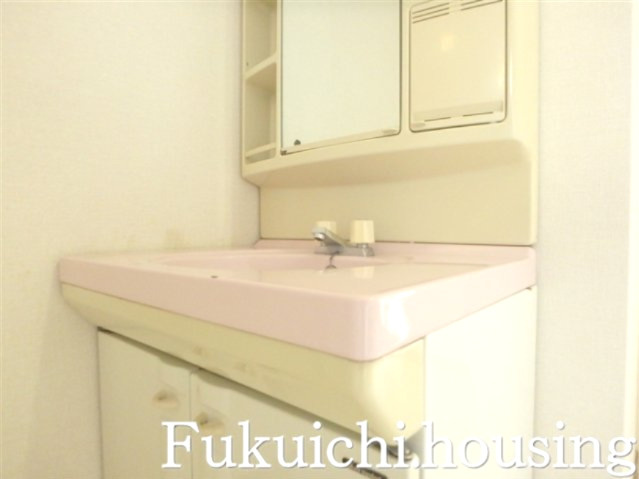 ルミナス赤堤の洗面所