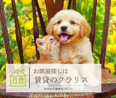 ガレージハウス上賀茂のその他|ペット相談可！