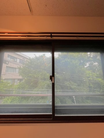 【展望】