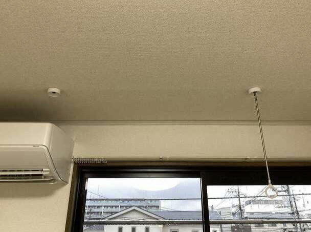 ドミール和のその他