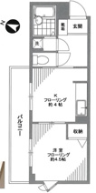 アンビアンテミリカの画像