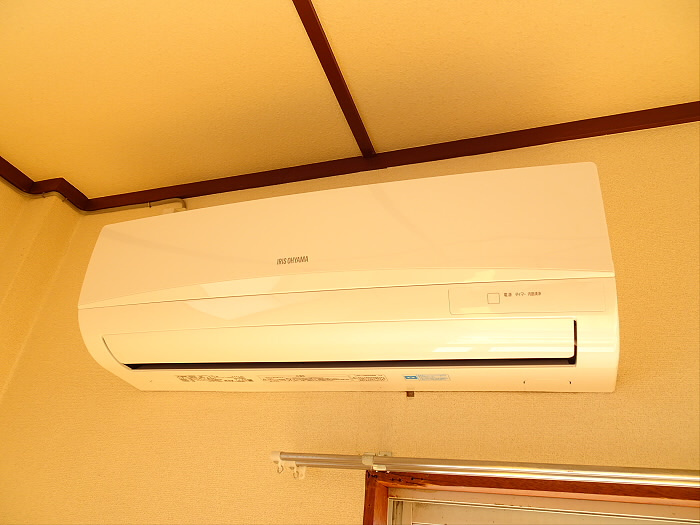 カーサキシのその他