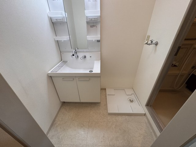 エクセル山崎の洗面所