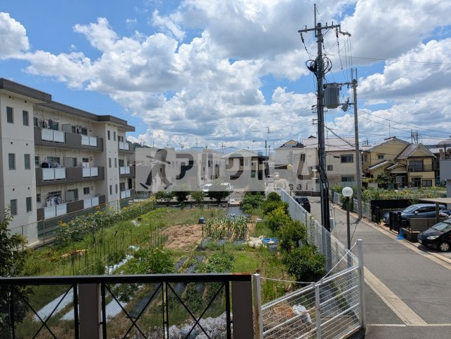 シャトーアルベールの展望|シャトーアルベール