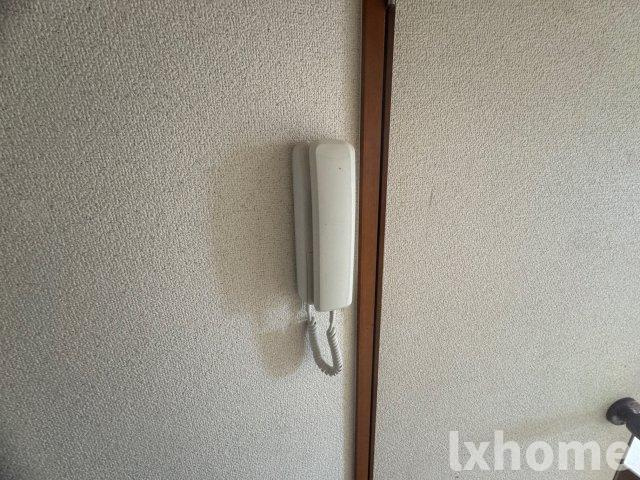 シャンテコウノキのセキュリティ