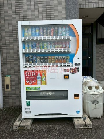 パシフィックパークのその他