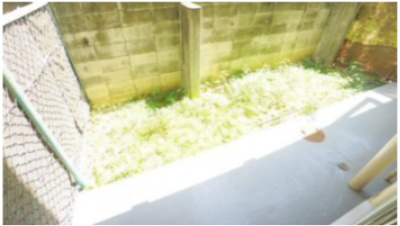 【庭】 | ☆グレイスハイツ本山南町