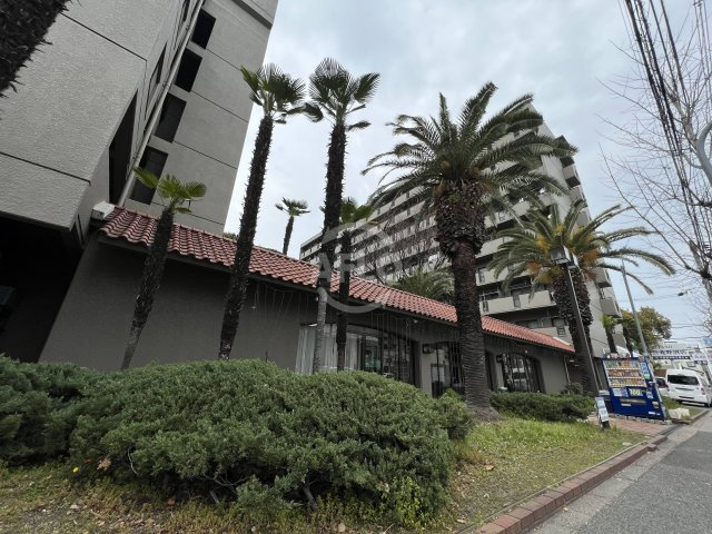 パティオ北加賀屋（北棟）　加賀屋小学校区の外観|パティオ北加賀屋（北棟）　外観
