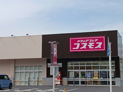 【その他】 | プラシード