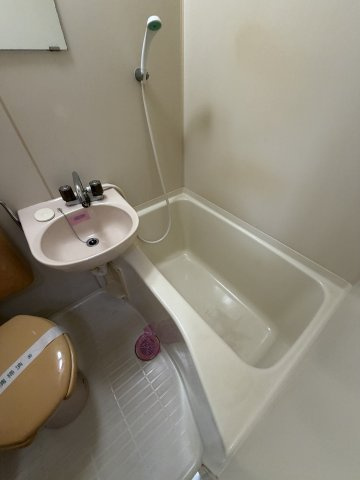 ハイツシスタローザの浴室