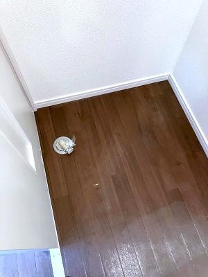 使いやすい洗面所です