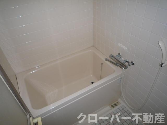 エーペックス宇多津の浴室