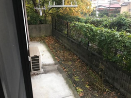 庭
