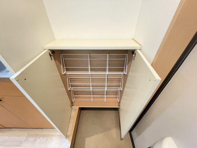 落ち着いた玄関です