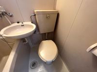 落ち着いた色調のトイレです