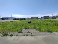 南津軽郡藤崎町大字藤崎字村井・土地物件の画像