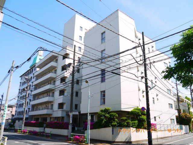 【外観】 | 常盤台グリーンハイツ | 陽光浴びる外観がシンプルな外観をより際立たせ、人々の記憶に存在感を植え付けます。