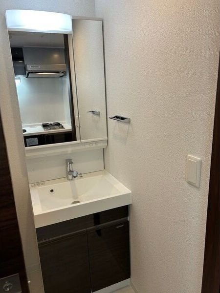 エステムコート中之島GATEⅡの洗面所
