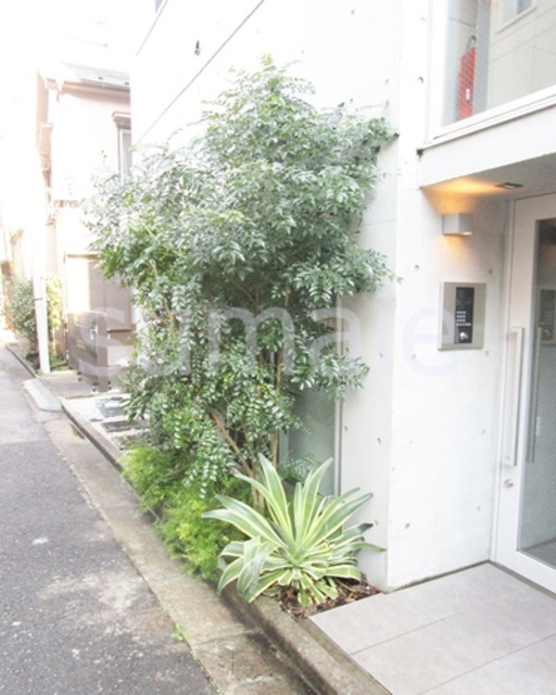 北区田端４丁目の賃貸マンションのその他|綺麗に手入れされた植栽！
