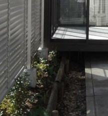 町田市能ヶ谷２丁目の一戸建ての庭