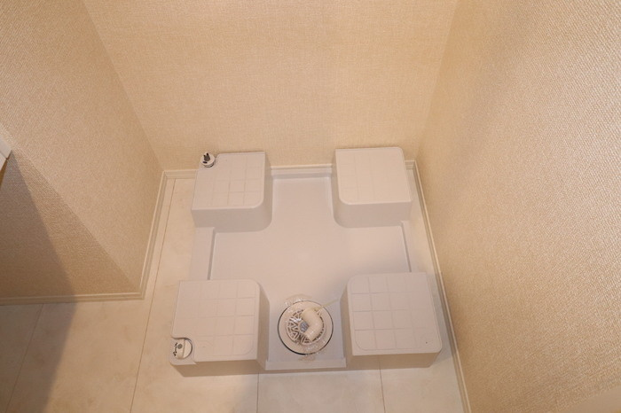 ソロモン泗水のその他