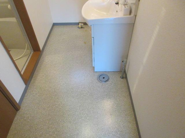 ロゼット暁の洗面所