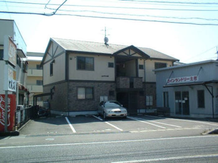 ウィルモア 土佐