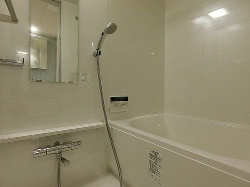 ライオンズ千代田岩本町ミレスの浴室