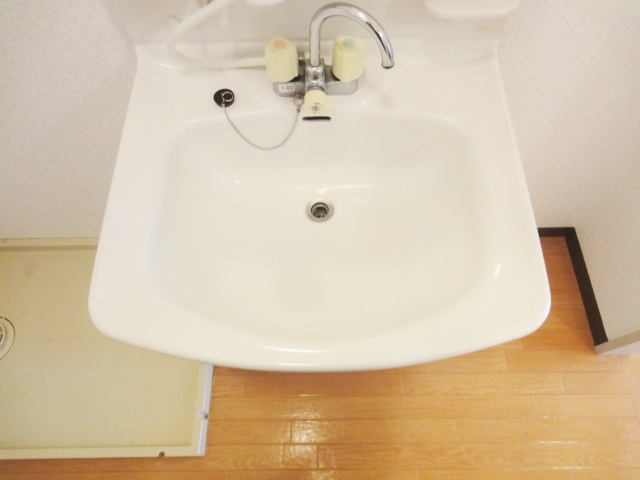 イーストハウスの洗面所|※同建物の類似写真となります。